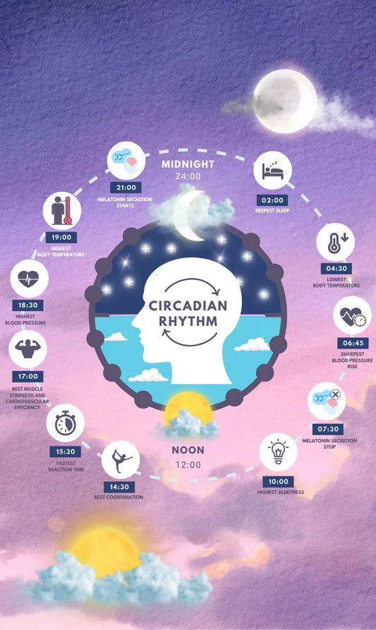 Understanding the Relationship Between Circadian Rhythm and Blue Light